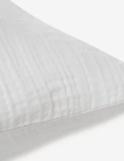 Darcy Sham -Furniture Store 103 V250172 3 900x c2dc3a83 0488 4d19 b802 be787c8379f4