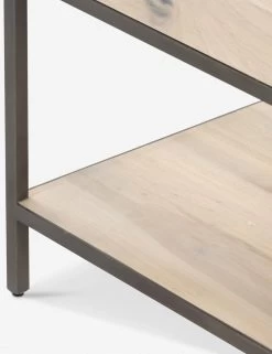 Rosamonde Bookcase -Furniture Store 107316 006 DET 9