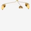 Abanu Chandelier