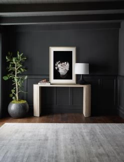 Nambi: Pose II, WOVEN Series Photography Print By Ashley Johnson 13 Nambi: Pose II, WOVEN Series Photography Print By Ashley Johnson -Furniture Store 20210526 ConsoleArtVignette 7204 NOART