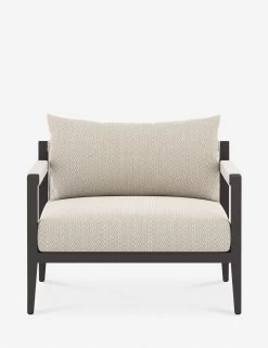 Cadenza Indoor / Outdoor Accent Chair