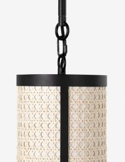 Levan Pendant Light -Furniture Store 223657 003 DET 1