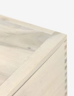 Rosamonde Storage Bench -Furniture Store 224491 003 DET 7