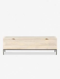 Rosamonde Storage Bench -Furniture Store 224491 003 FRT 1