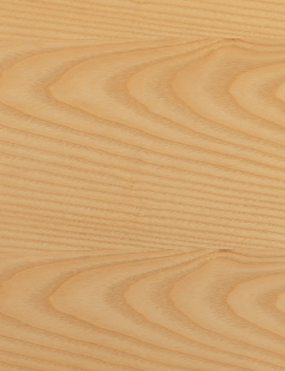 Paul Bar And Counter Stool 6 Paul Bar And Counter Stool - Image 6