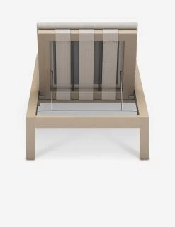 Ashleigh Indoor / Outdoor Chaise -Furniture Store 227525 003 BCK 1