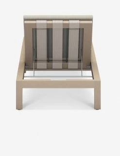 Ashleigh Indoor / Outdoor Chaise -Furniture Store 227525 004 BCK 1