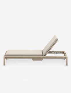 Ashleigh Indoor / Outdoor Chaise -Furniture Store 227525 004 SID 1