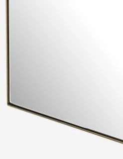 Rachelle Floor Mirror -Furniture Store 228729 002 DET 3