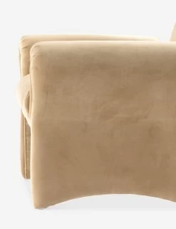 Fenella Accent Chair -Furniture Store 229323 002 DET 4