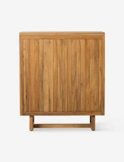 Anson Indoor / Outdoor Cabinet -Furniture Store 229416 001 BCK 1