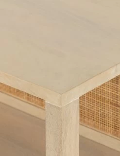 Philene Media Console -Furniture Store 229664 002 DET 3