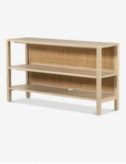 Philene Media Console -Furniture Store 229664 002 PRM 1