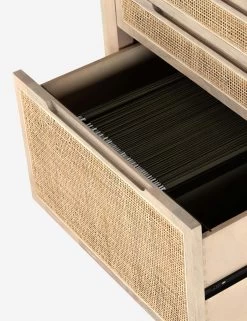 Margot Modular Desk With Filing Cabinet -Furniture Store 230207 001 det 1