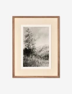 Landscape Study I Wall Art By Aileen Fitzgerald -Furniture Store 237124 001 PRM 1