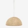 Raquel Pendant Light
