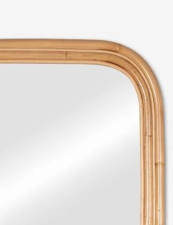 Reyna Mirror 6 Reyna Mirror -Furniture Store 41916 7