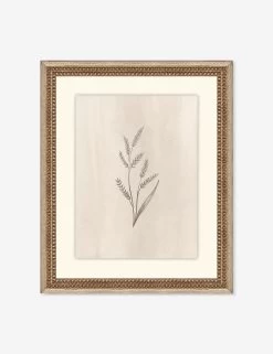 Elegant Botanical II Wall Art By Makai Howell