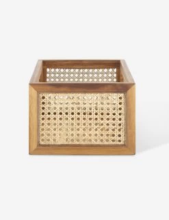 Cane Bin By NEAT Method