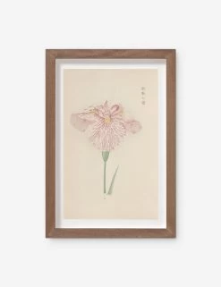 Vintage Japanese Iris No. 20 Wall Art By Miyoshi Manabu