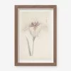 Vintage Japanese Iris No. 33 Wall Art By Miyoshi Manabu