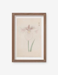 Vintage Japanese Iris No. 34 Wall Art By Miyoshi Manabu