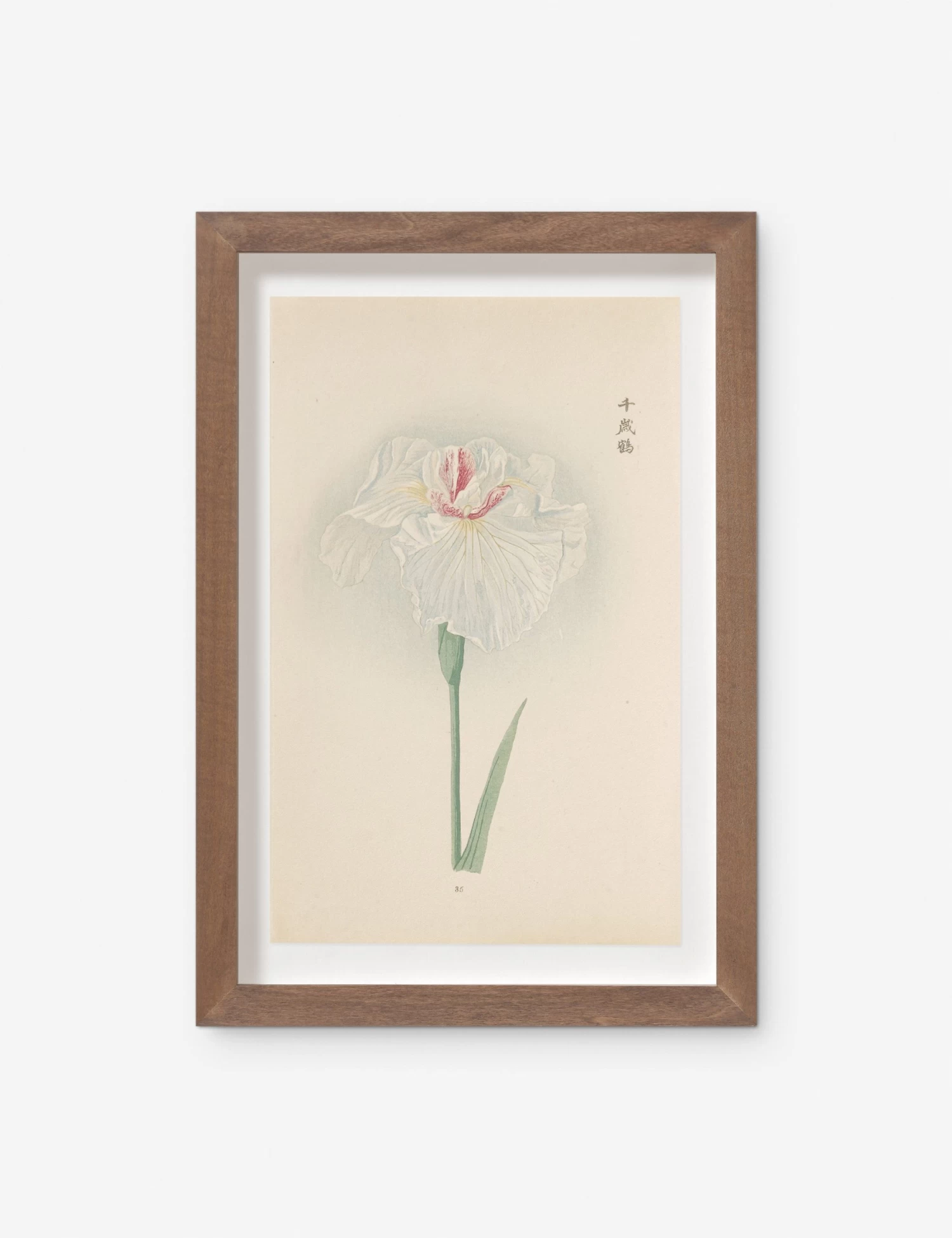 Vintage Japanese Iris No. 35 Wall Art By Miyoshi Manabu 1 Vintage Japanese Iris No. 35 Wall Art By Miyoshi Manabu