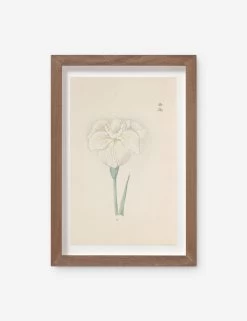 Vintage Japanese Iris No. 43 Wall Art By Miyoshi Manabu