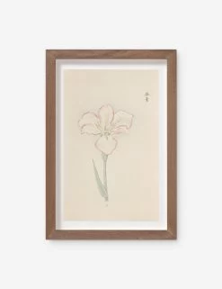 Vintage Japanese Iris No. 47 Wall Art By Miyoshi Manabu