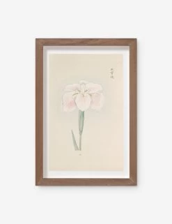 Vintage Japanese Iris No. 48 Wall Art By Miyoshi Manabu