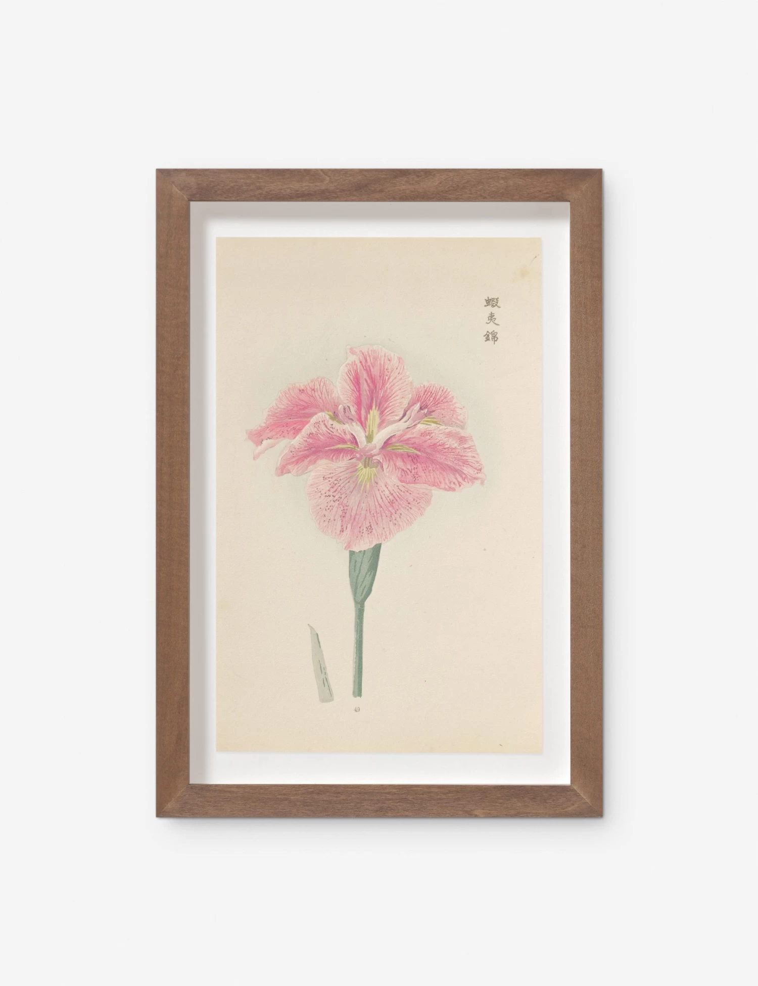 Vintage Japanese Iris No. 49 Wall Art By Miyoshi Manabu 1 Vintage Japanese Iris No. 49 Wall Art By Miyoshi Manabu