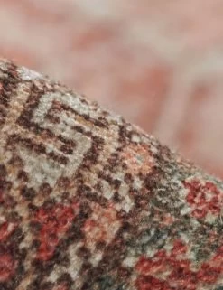 Carlini Rug -Furniture Store ARI 02 03