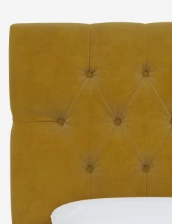 Amarise Headboard -Furniture Store AmariseHeadboard CitronellaVelvet 540TMNCCTRNLL 3