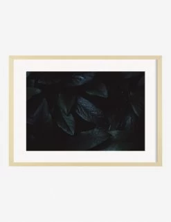 Still Life 3 Photography Print By Ashley Johnson -Furniture Store AshleyJohnsonStillLIfePack7 3naturalframe
