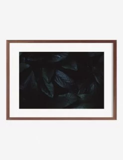 Still Life 3 Photography Print By Ashley Johnson -Furniture Store AshleyJohnsonStillLIfePack7 3walnutframe