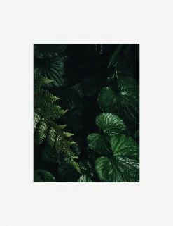 Still Life 14 Photography Print By Ashley Johnson 12 Still Life 14 Photography Print By Ashley Johnson -Furniture Store AshleyJohnsonStillLifePack7 14unframed