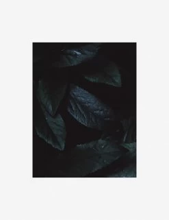 Still Life 3 Photography Print By Ashley Johnson -Furniture Store AshleyJohnsonStillLifePack7 3unframed