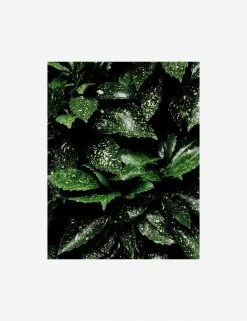 Still Life 7 Photography Print By Ashley Johnson -Furniture Store AshleyJohnsonStillLifePack7 7unframed