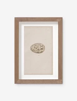 Vintage Bird Watercolor No. 309 Wall Art By Visual Contrast