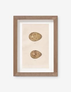 Vintage Bird Watercolor No. 312 Wall Art By Visual Contrast