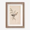 Vintage Bird Watercolor No. 60 Wall Art By Visual Contrast