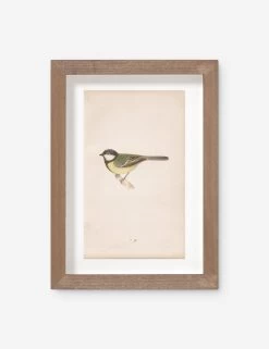 Vintage Bird Watercolor No. 76 Wall Art By Visual Contrast