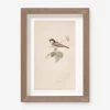 Vintage Bird Watercolor No. 78 Wall Art By Visual Contrast