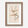Vintage Bird Watercolor No. 82 Wall Art By Visual Contrast