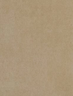 Lotte Sleeper Sofa -Furniture Store CamelVelvet RHEN 030 14861 43 BI Swatch SITECROP