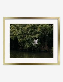 Lake Nicaragua Photography Print By Carley Rudd -Furniture Store CarleyRuddLakeNicaraguaGoldFrame
