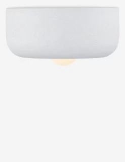 Denny Flush Mount Light