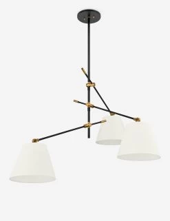 Navin Chandelier By Colin King X Troy Lighting -Furniture Store F2653 PBR TBK 001