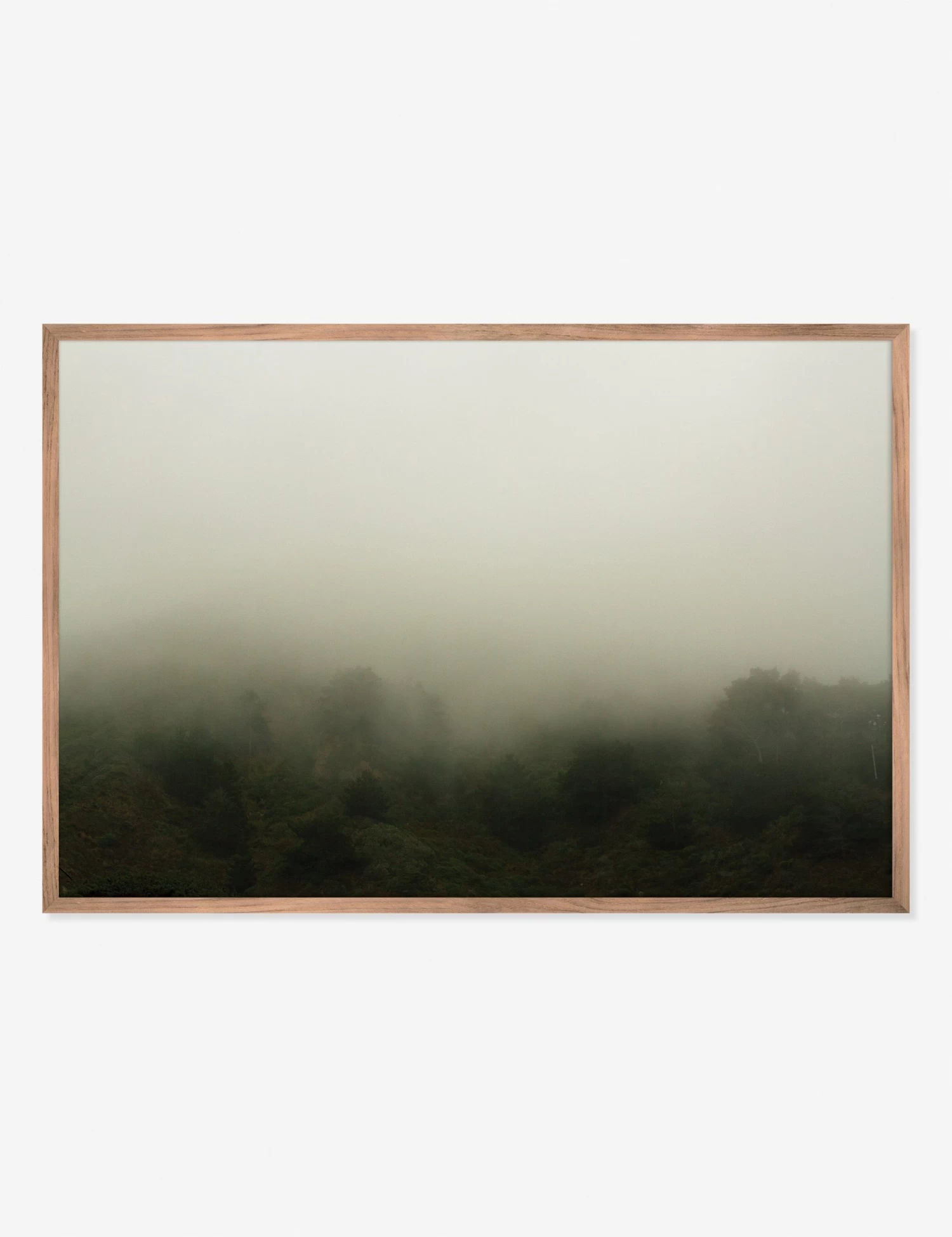 Norcal 10 Photography Print By Flavia Cureteu 1 Norcal 10 Photography Print By Flavia Cureteu