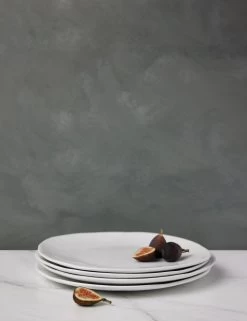 Organic Dinner Plates (Set Of 4) By Hawkins New York